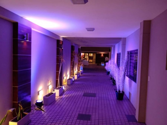 yH5BAEKAAEALAAAAAABAAEAAAICTAEAOw== SALÓN DE EVENTOS