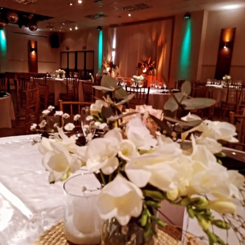yH5BAEKAAEALAAAAAABAAEAAAICTAEAOw== SALÓN DE EVENTOS